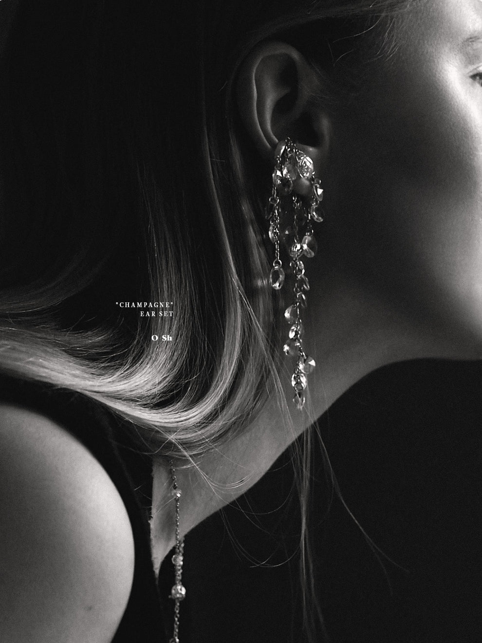 "CHAMPAGNE DUST" LIMITED EAR SET VERMEIL