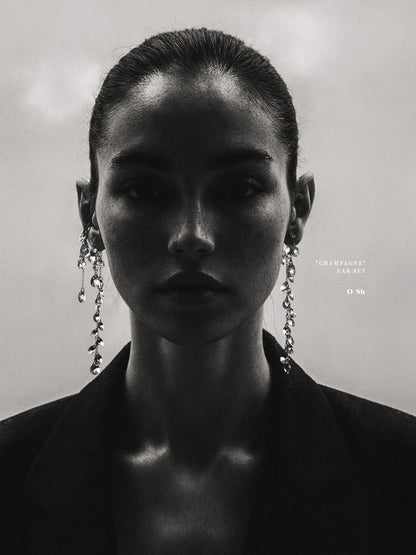 "CHAMPAGNE DUST" LIMITED EAR SET VERMEIL